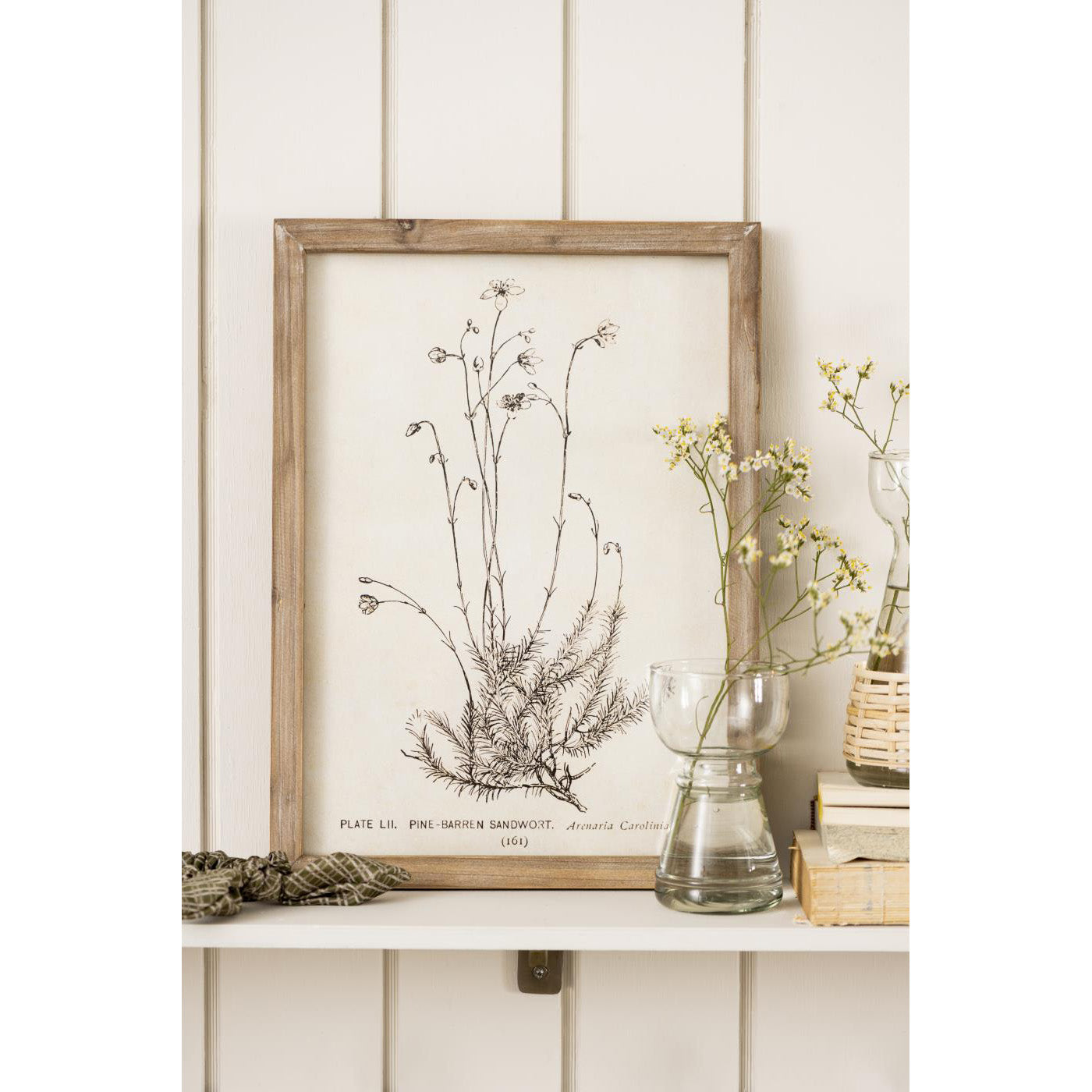 Florero de Vidrio HYACINTH Trofeo H: 12,6