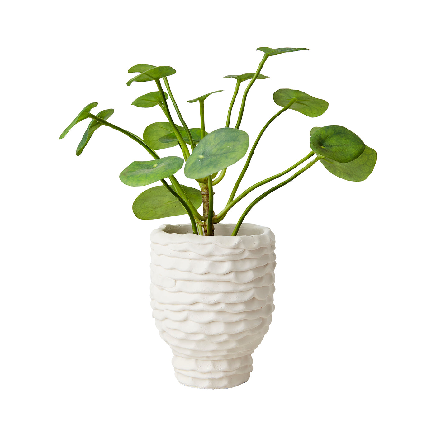 Maceta S, Blanco crudo CREAM, Ø11xH14 cm