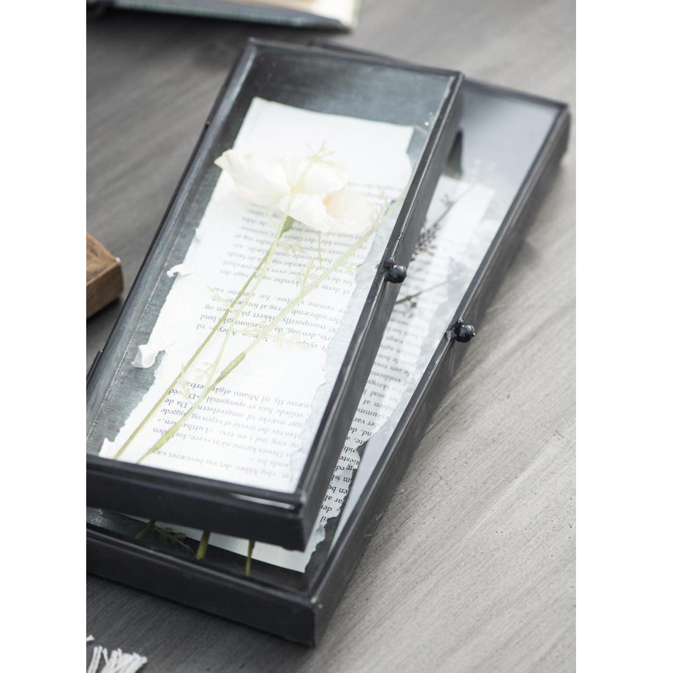 Caja de Vidrio con Tapa NOVA
