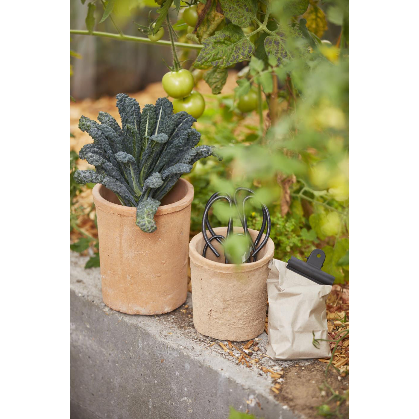 Pot Macetero de Arcilla