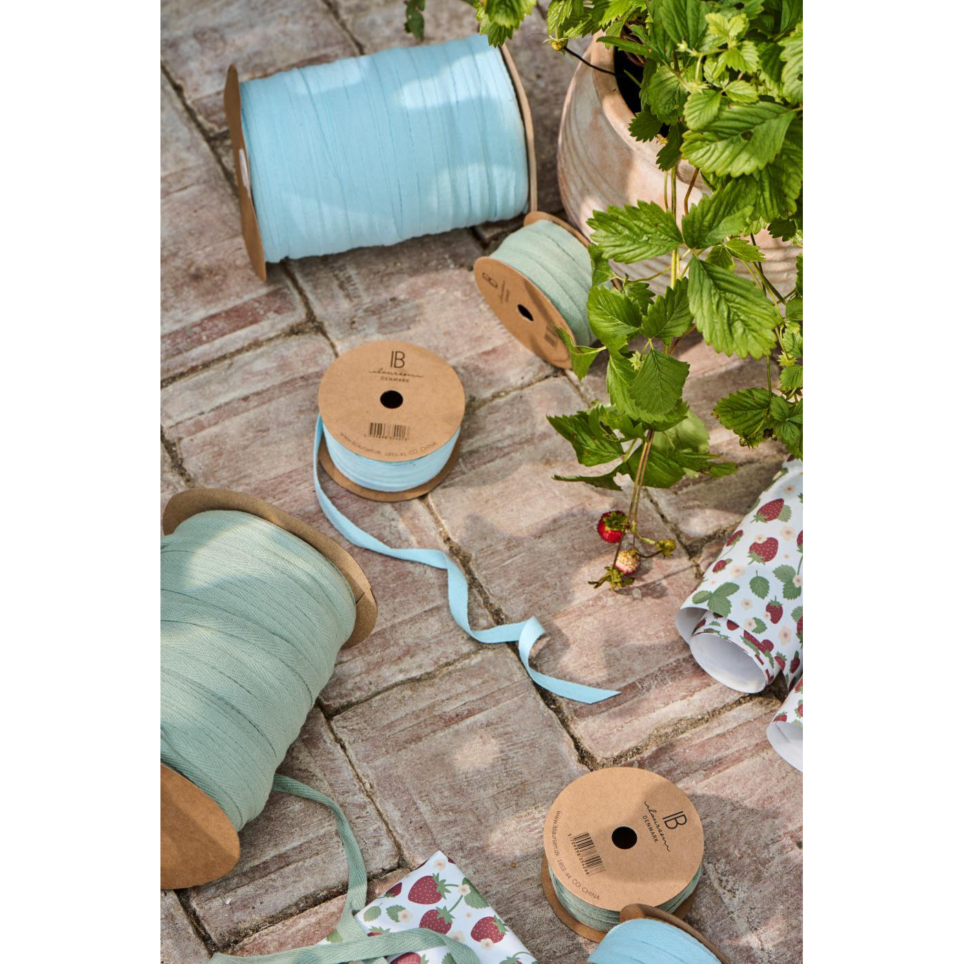 Cinta Algodón Kit en Rodete Celadon L 5m