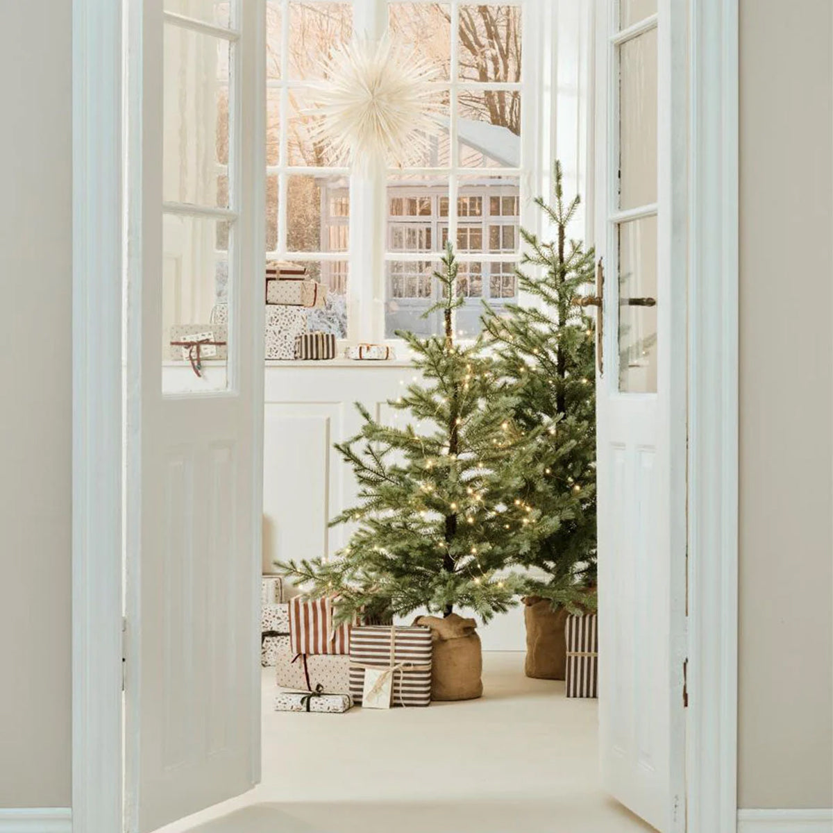 Pino Nórdico con Base Yute Natural H: 155 cm