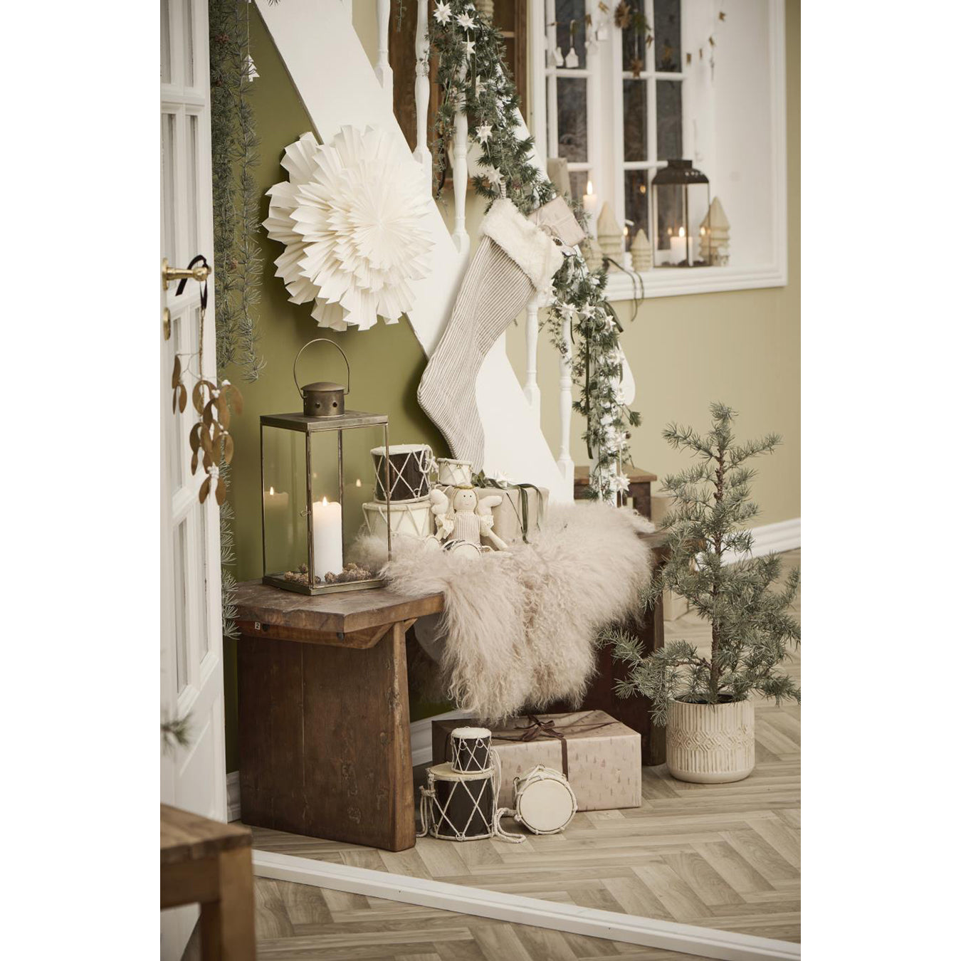 Cedro con Macetero Plástico H: 60 Ø: 28 cm