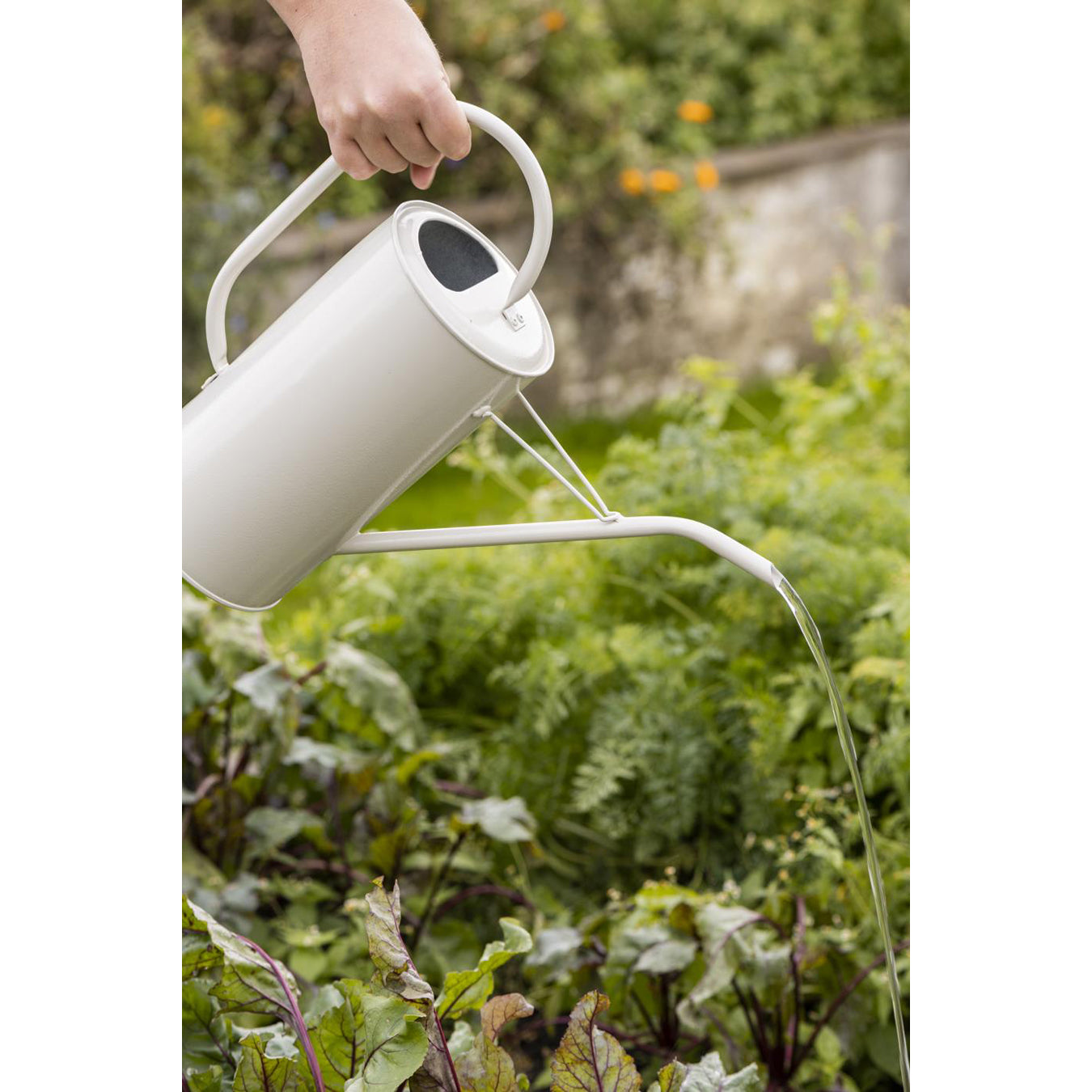 Regadora Metálica Blanco Niebla 2.7 lt