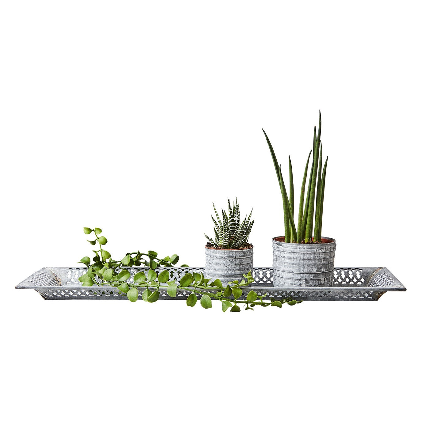 Bandeja FENIX Gris/Blanco