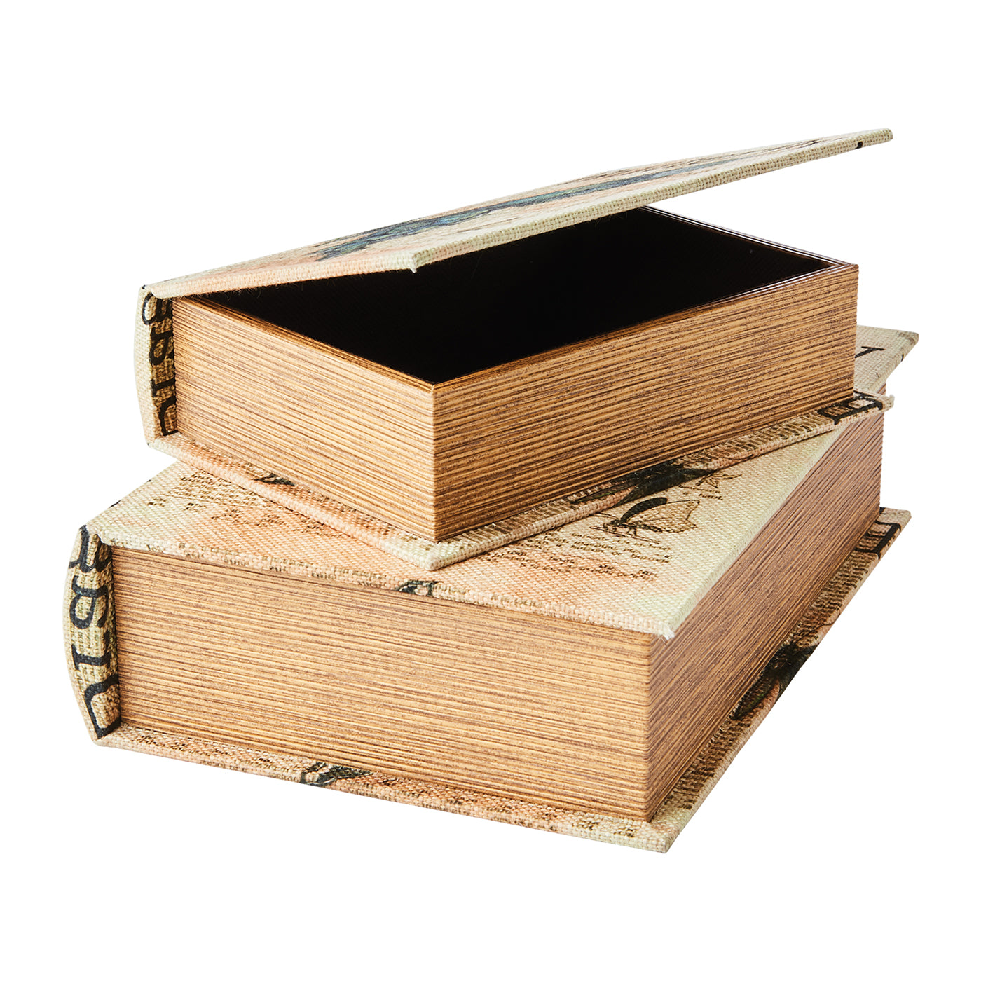 Caja BROOKE Libro Mariposa Large