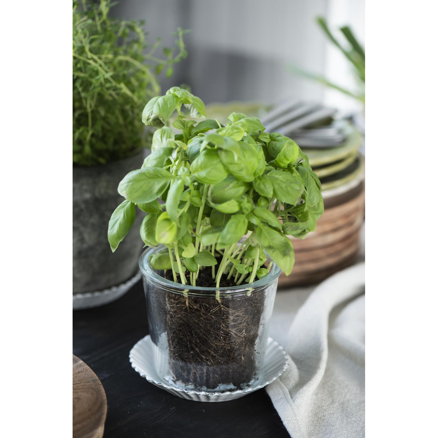 Plato Enlozado Blanco Borde Blonda Diam 13 cm
