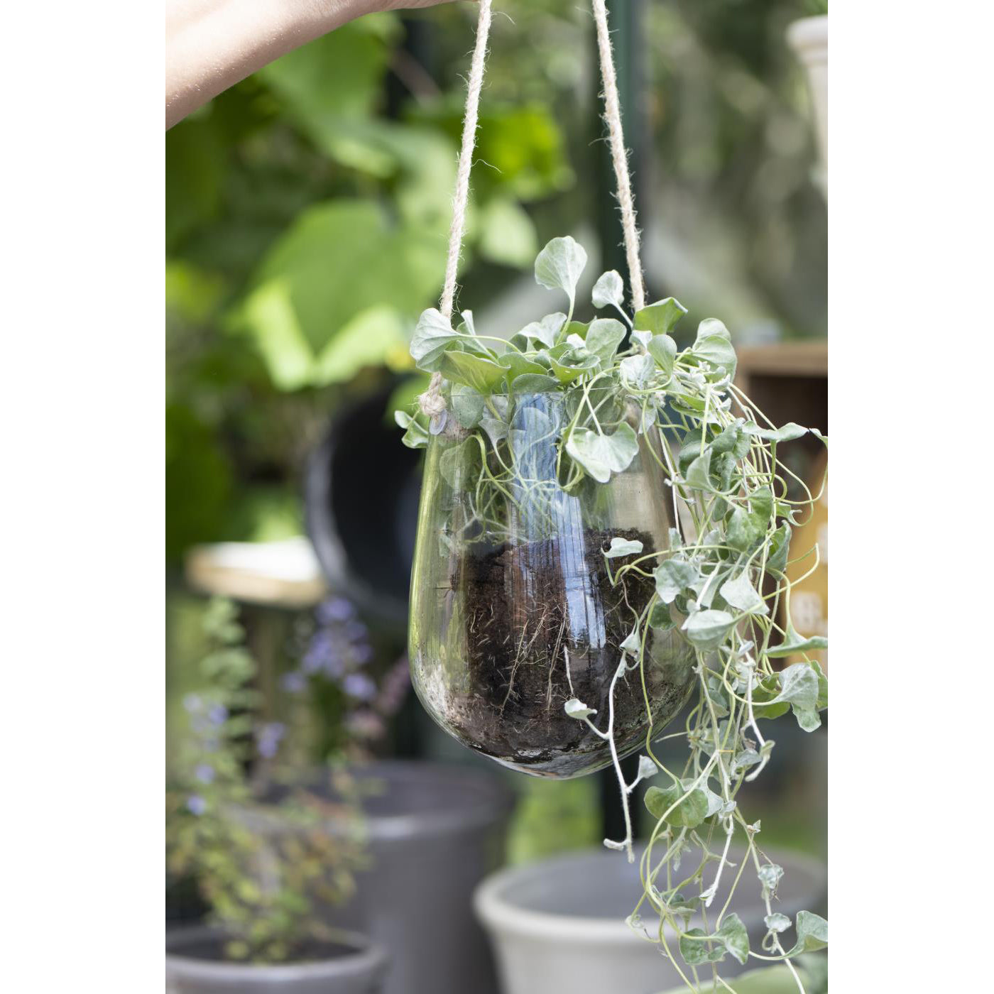 Florero Colgante Vidrio, Apertura Ø:9 cm