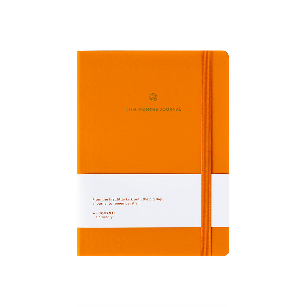 Diario de Embarazo / 9 meses