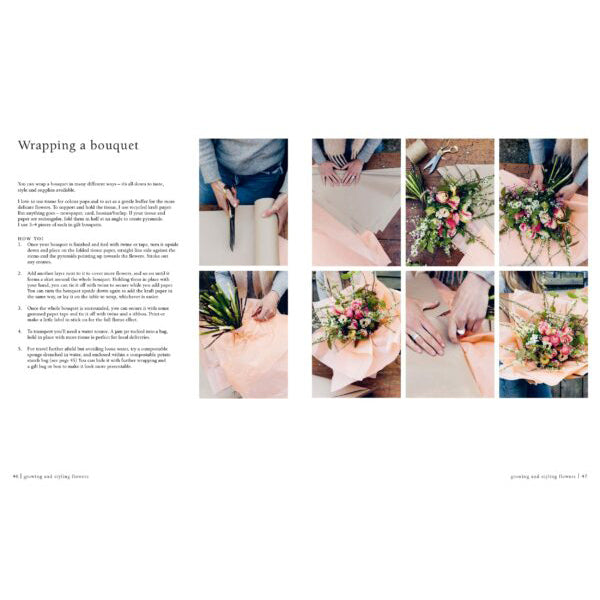 Libro From Seed to Bloom