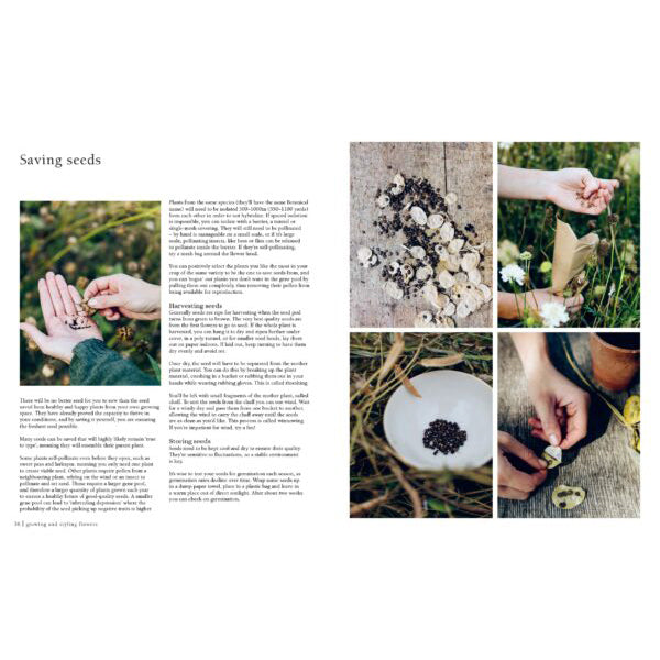 Libro From Seed to Bloom