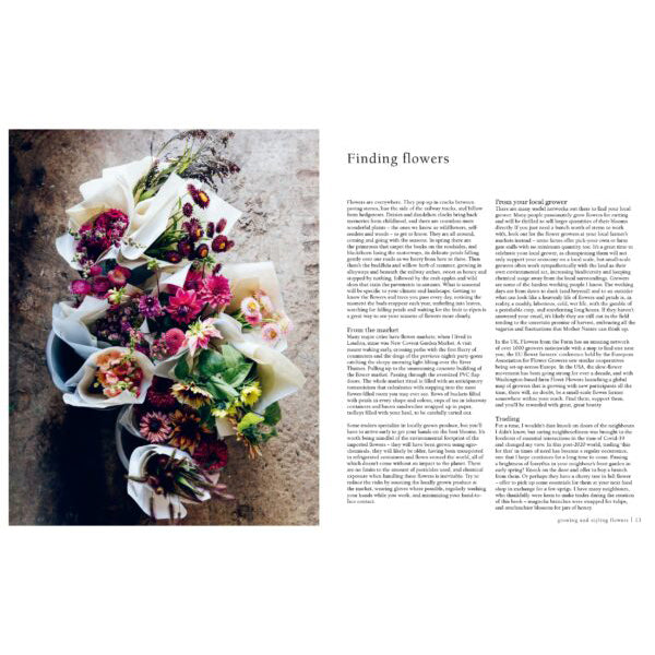 Libro From Seed to Bloom