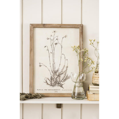 Florero de Vidrio HYACINTH Trofeo H: 12,6