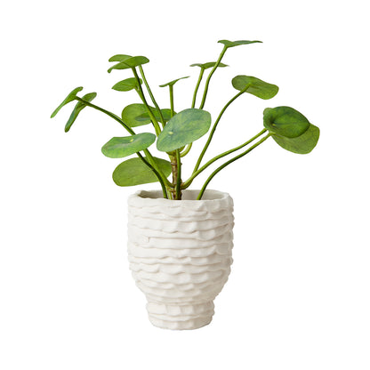 Maceta S, Blanco crudo CREAM, Ø11xH14 cm