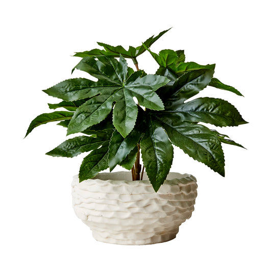 Maceta S, Blanco crudo CREAM, Ø18xH9 cm