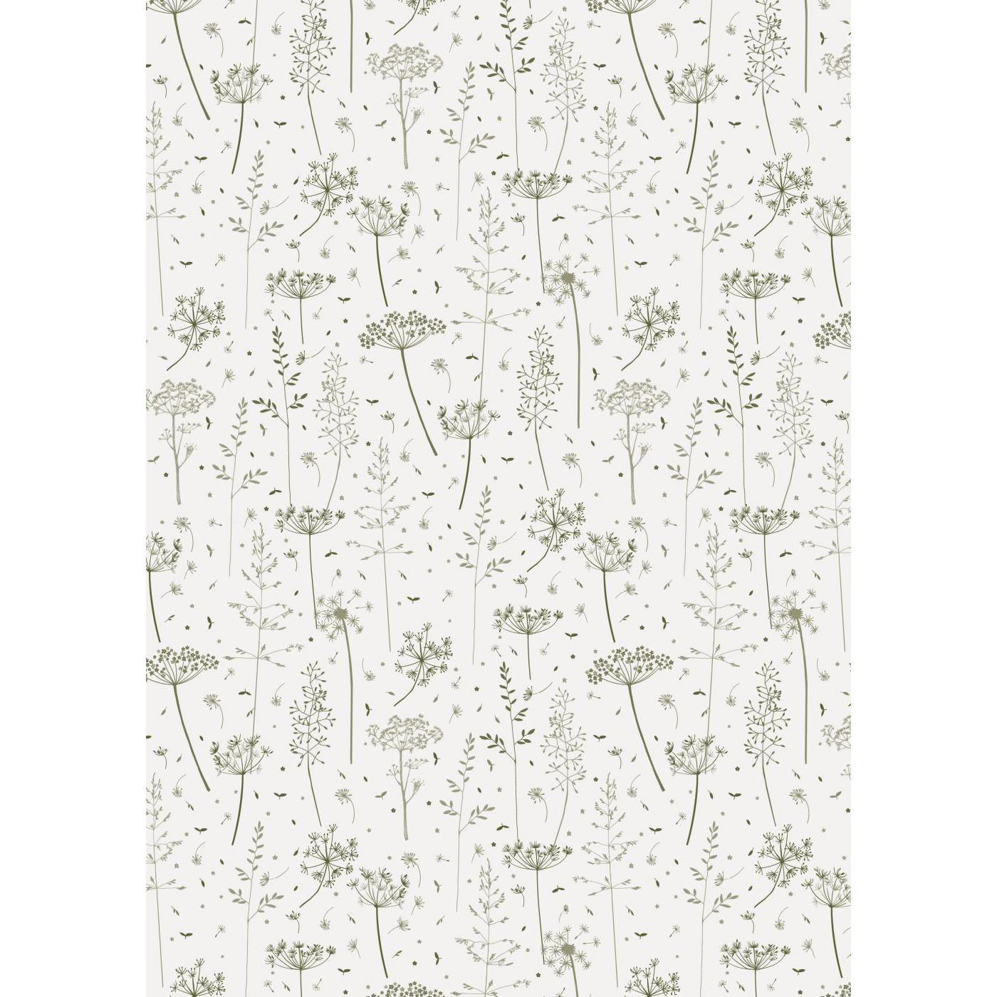 Papel de regalo Diseño Green Grass y Umbelas Rollo 5 mt