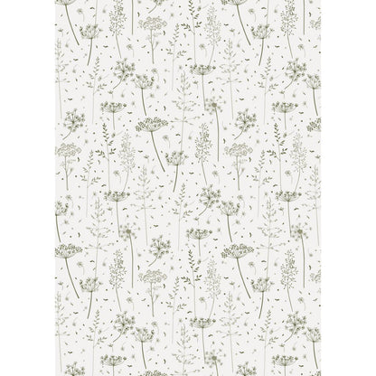 Papel de regalo Diseño Green Grass y Umbelas Rollo 5 mt
