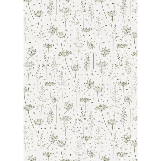 Papel de regalo Diseño Green Grass y Umbelas Rollo 5 mt