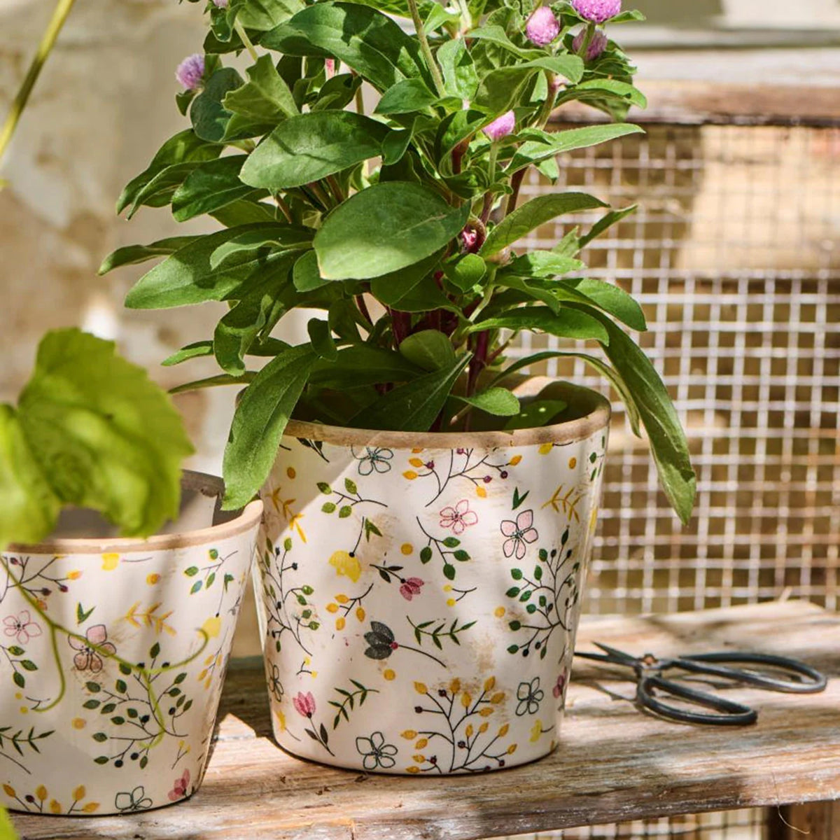 Maceta Cónica Meadiw Blossom H: 13 Ø: 14 cm
