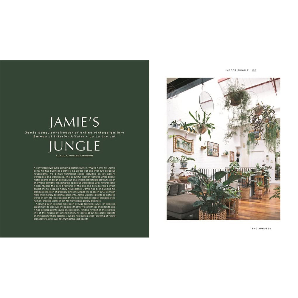 Libro Indoor Jungle