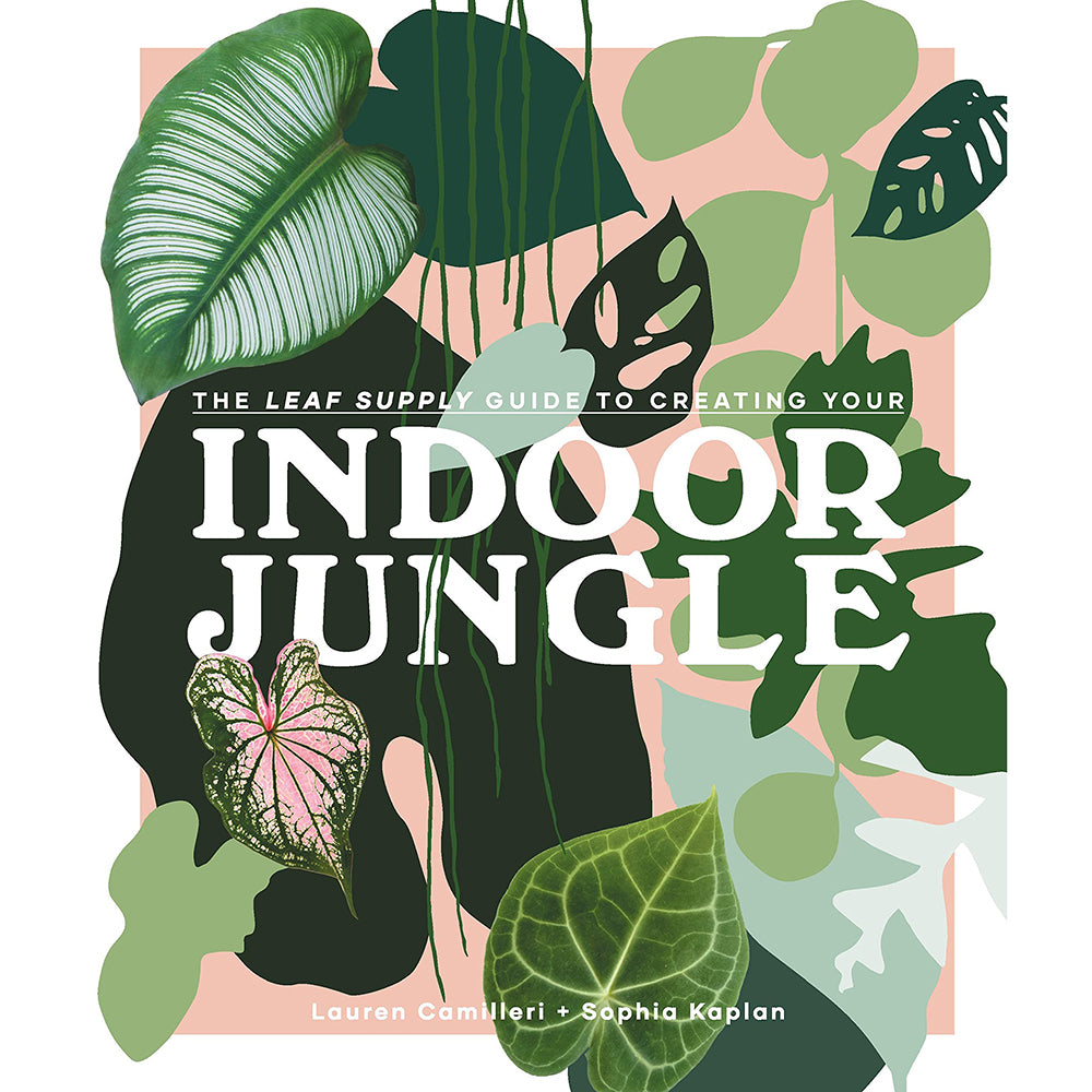 Libro Indoor Jungle