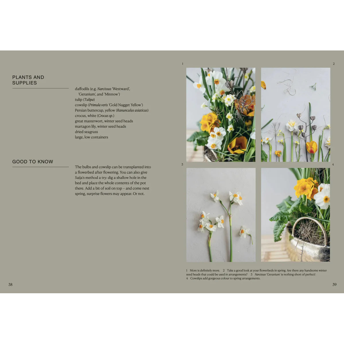 Libro The Potted Garden