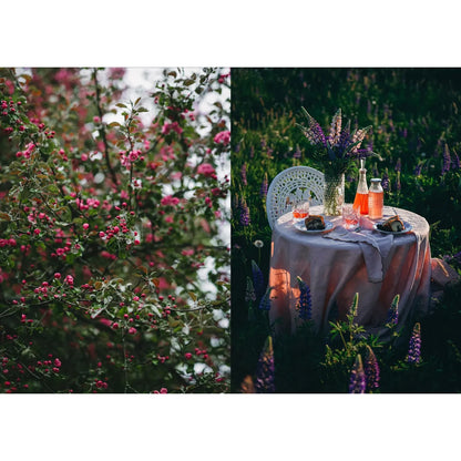 Libro Nordic Summer Cookbook